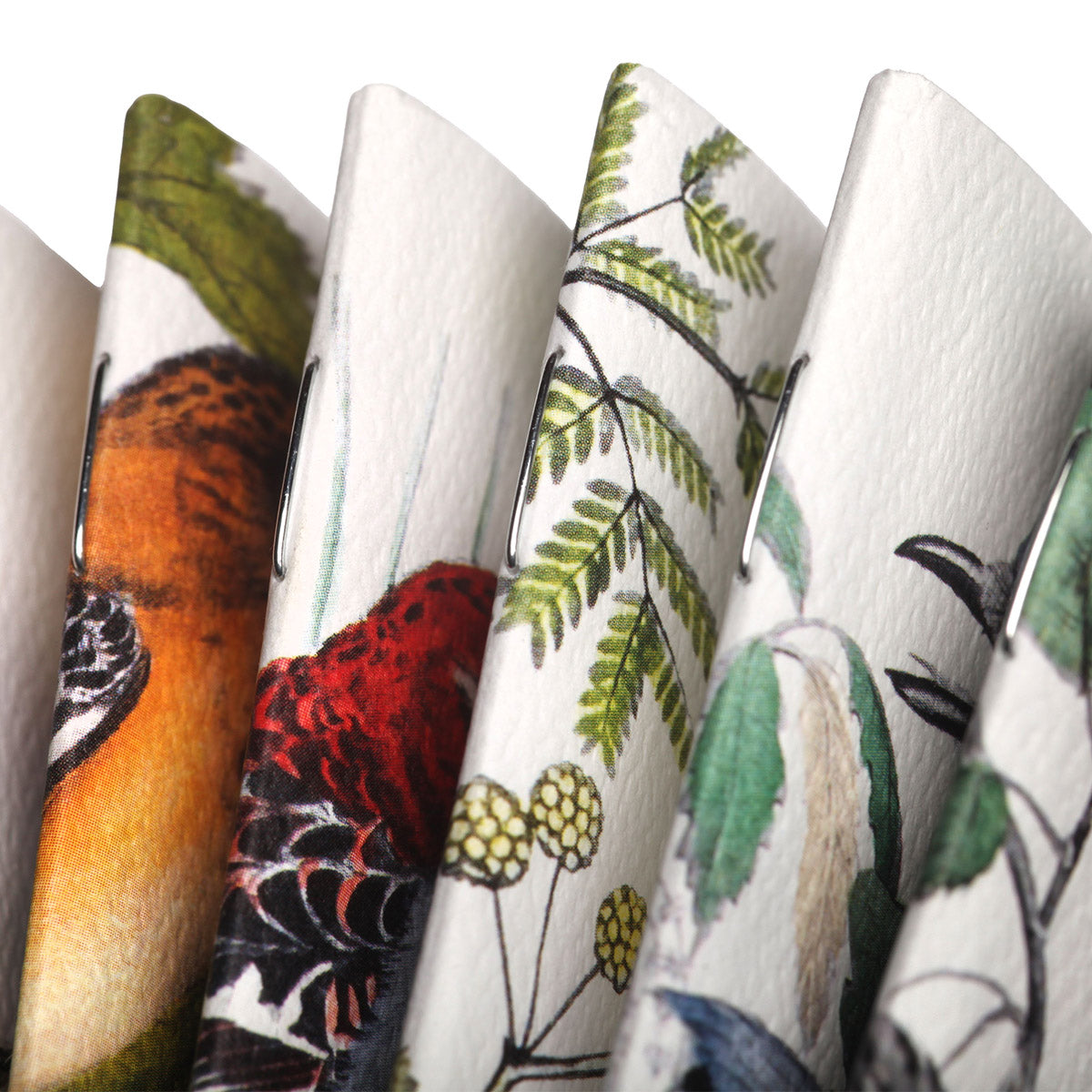 Field Notes Pack B – Pine Grosbeak, Baltimore Oriole en Flycatcher op natuurgetrouwe covers