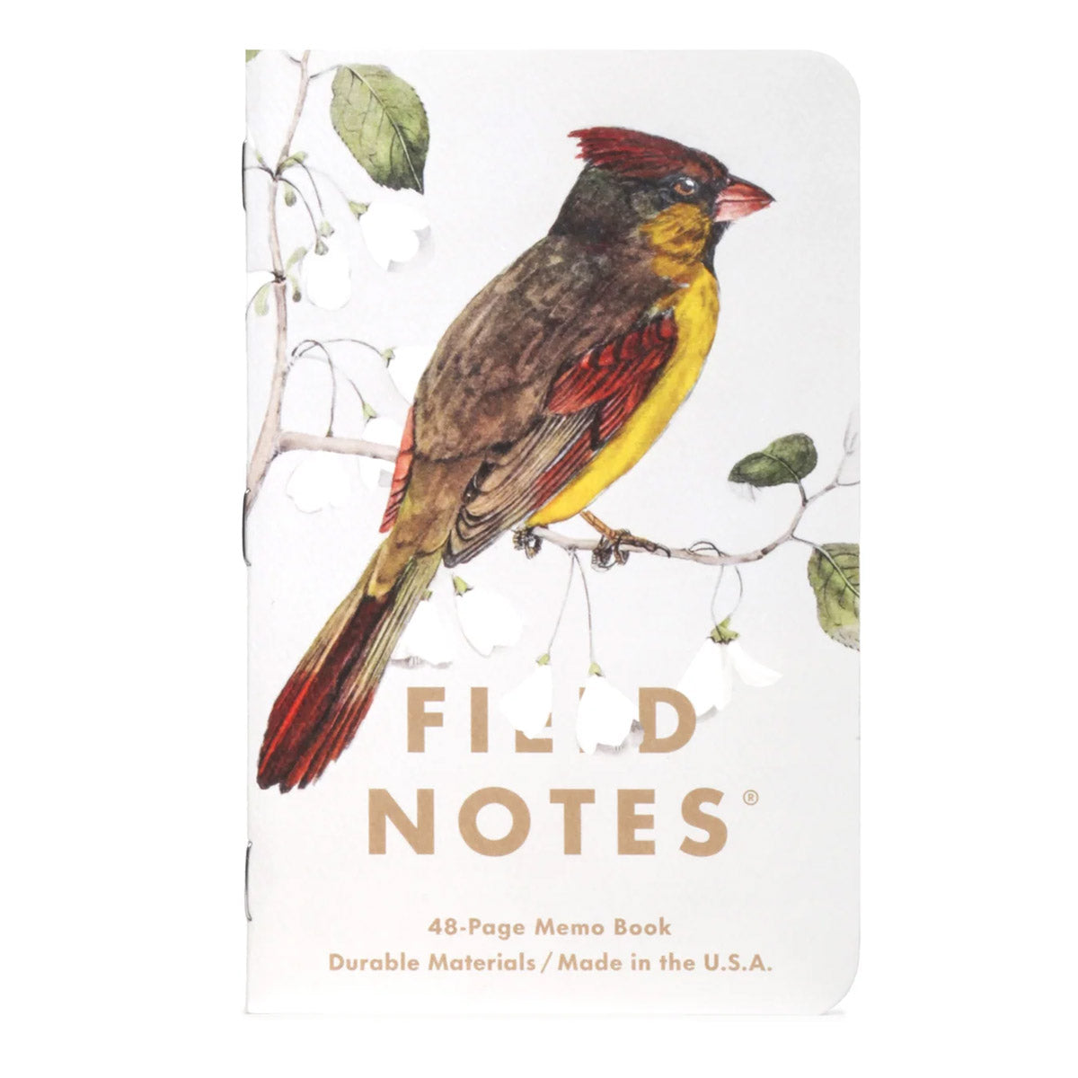 Field Notes Pack C – Painted Redstart, Cardinal en Redshoulder Hawk op handgetekende notitieboekjes
