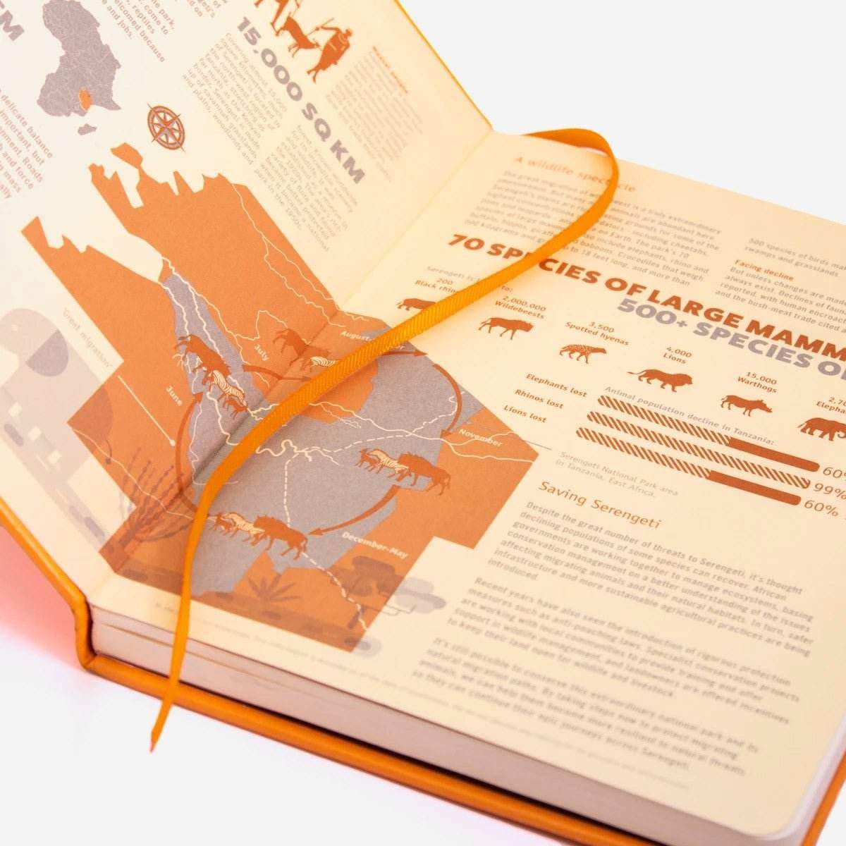 Dingbats* Notitieboek A5+ Earth Tangerine Serengeti - Dotted - 24Papershop
