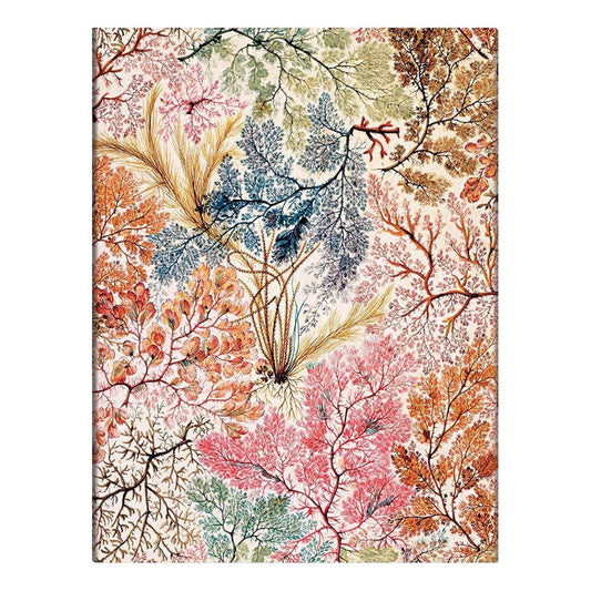 Paperblanks Flexi Anemone Midi - Gelinieerd - 24Papershop