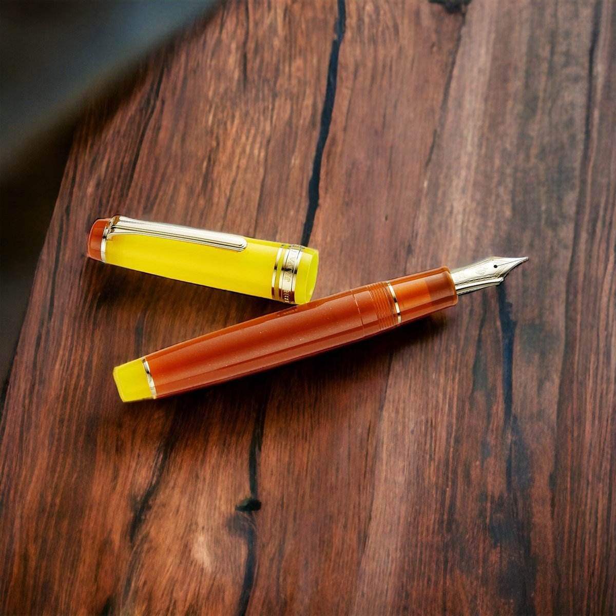 Sailor Pro Gear Slim Fountain Pen - Moonlight over the Ocean Fine (Limited Edition) - 24Papershop
