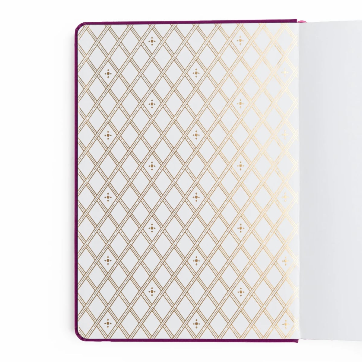 Archer & Olive Bullet Journal Berries & Vines - Binnenkant van de journal