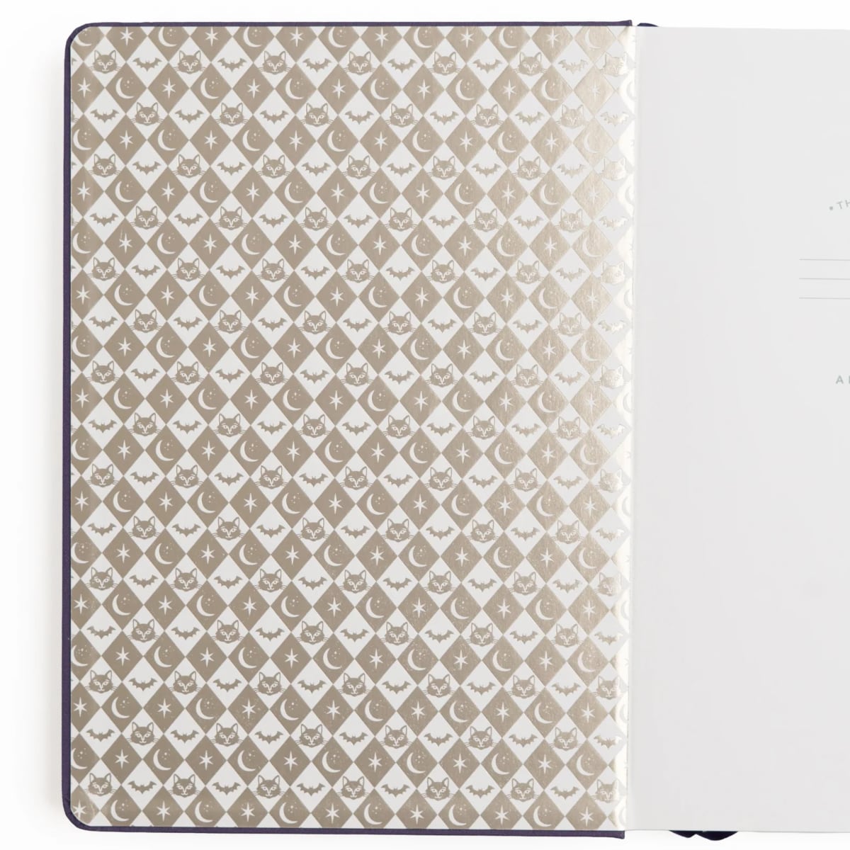 Archer & Olive Bullet Journal Bewitched - Binnenkant van de journal