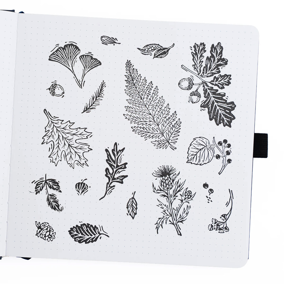 Archer & Olive Stamp Set - Forest Foliage - Gestempeld op een dot grid pagina