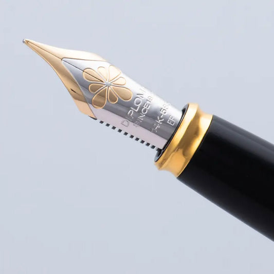 Diplomat Excellence A2 Nib 14K Gold - Gold
