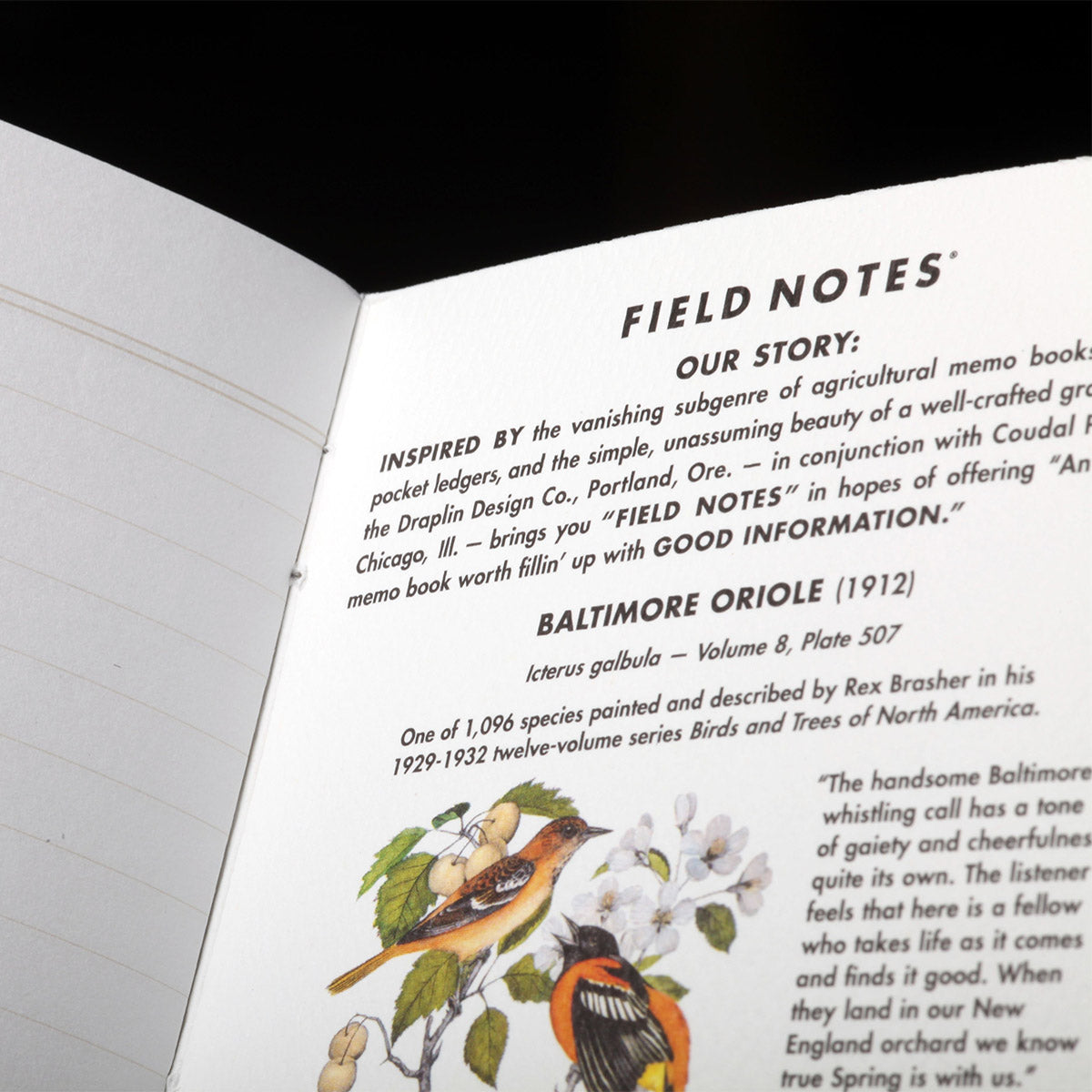 Field Notes Pack B – Pine Grosbeak, Baltimore Oriole en Flycatcher op natuurgetrouwe covers
