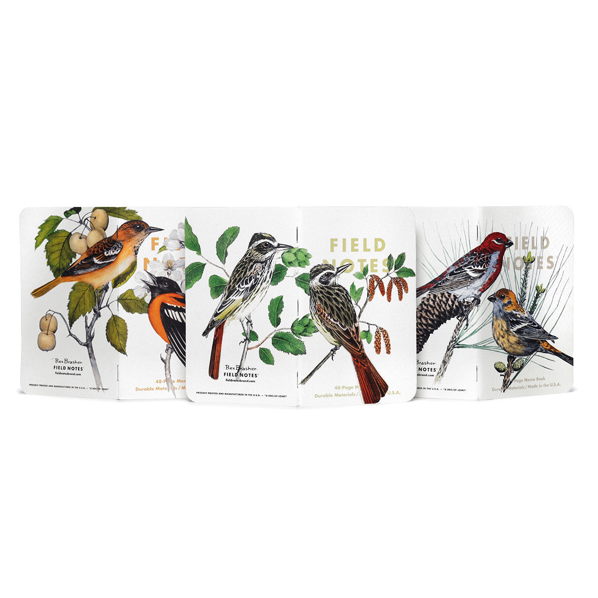 Field Notes Pack B – Pine Grosbeak, Baltimore Oriole en Flycatcher op natuurgetrouwe covers