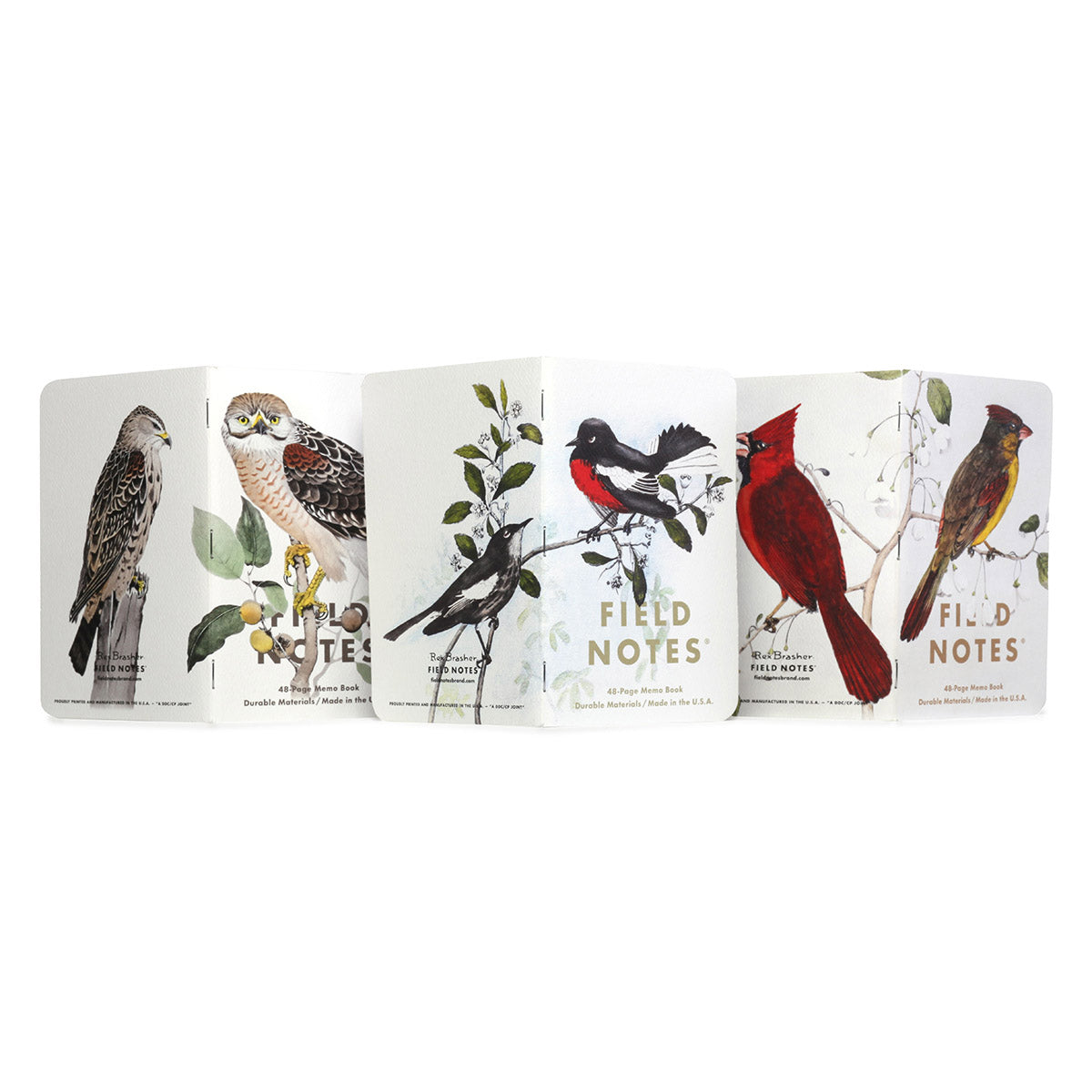 Field Notes Pack C – Painted Redstart, Cardinal en Redshoulder Hawk op handgetekende notitieboekjes