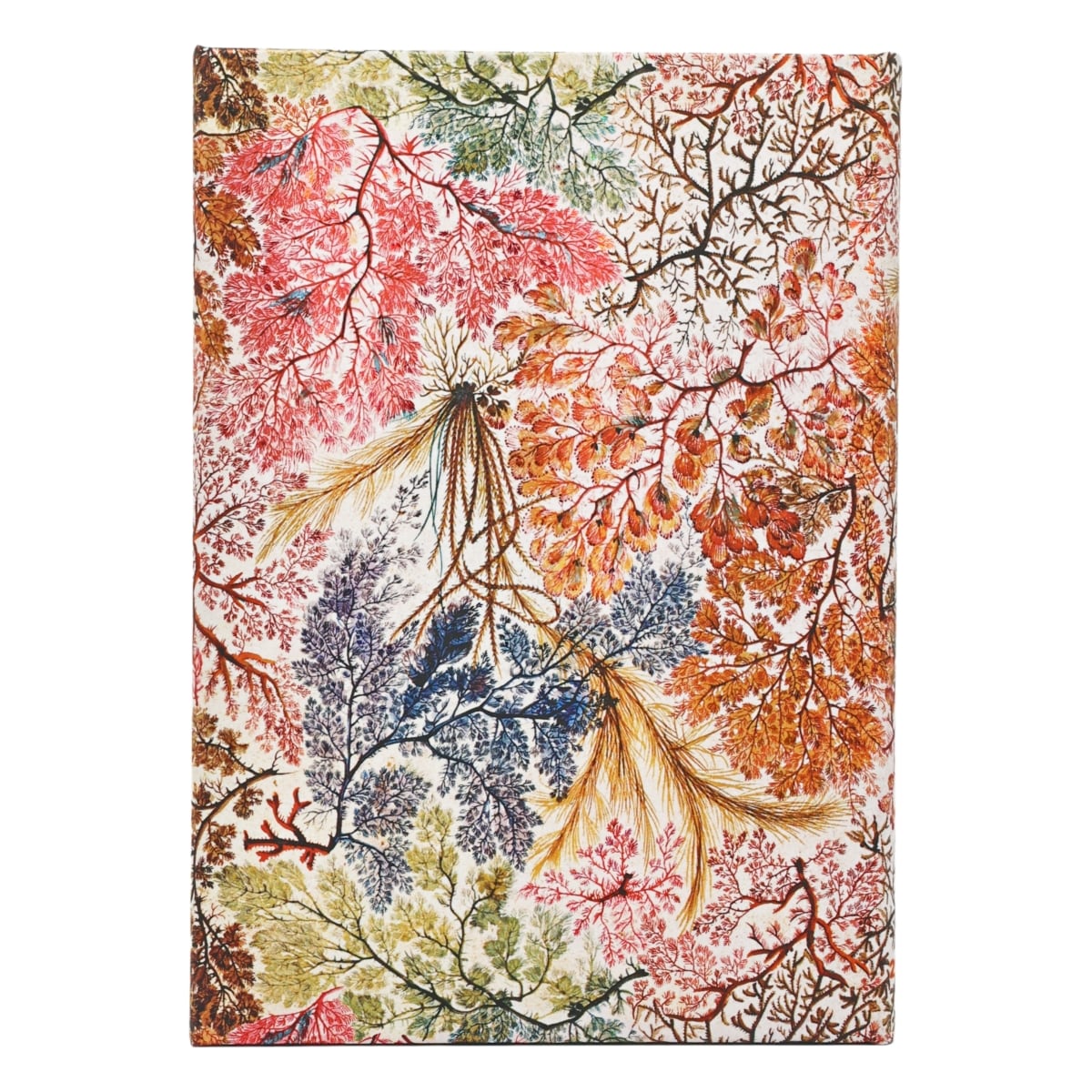 Paperblanks Agenda 2027 Midi - Anemone - Achterkant van de agenda