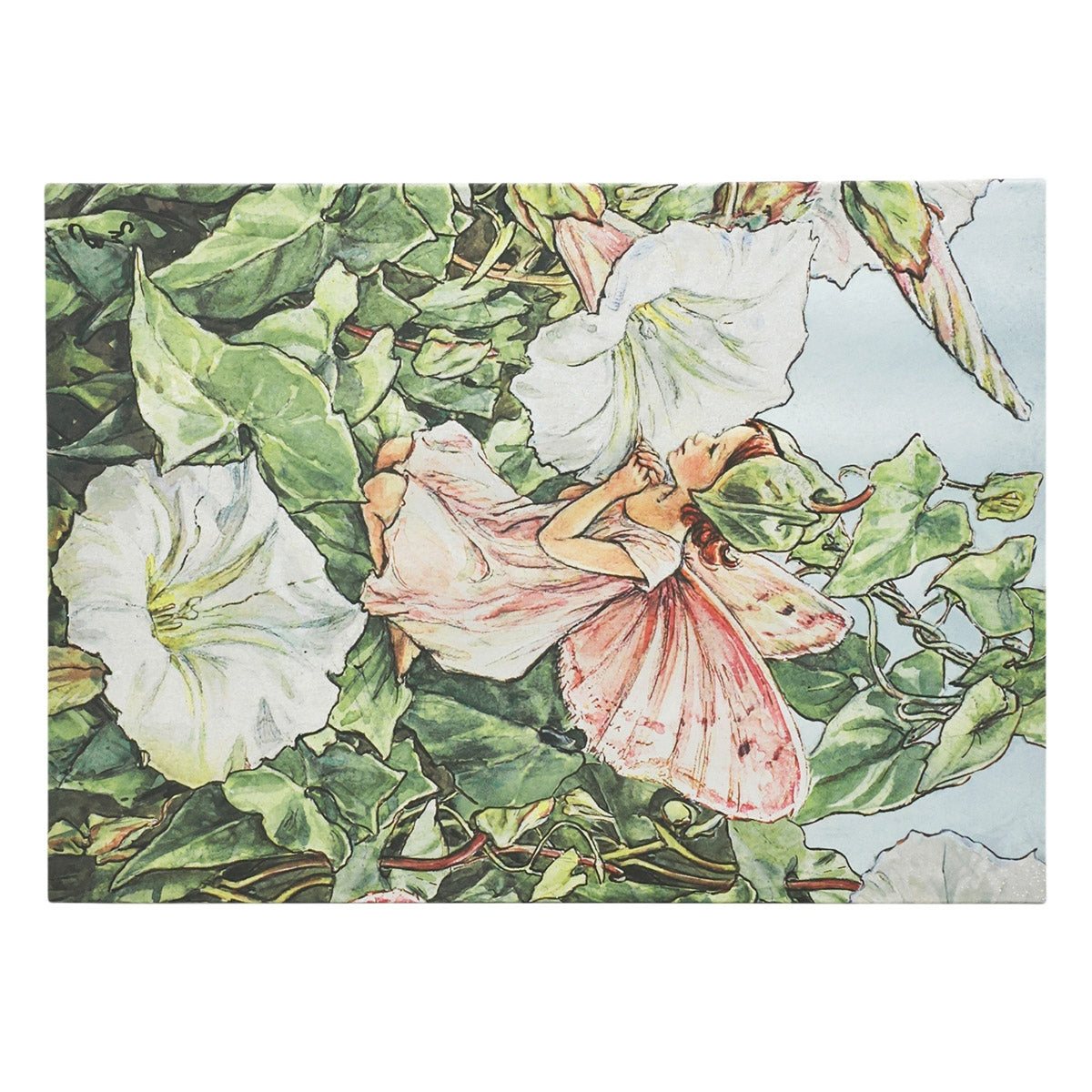 Paperblanks Bindweed Fairy Documenten Map - Achterkant