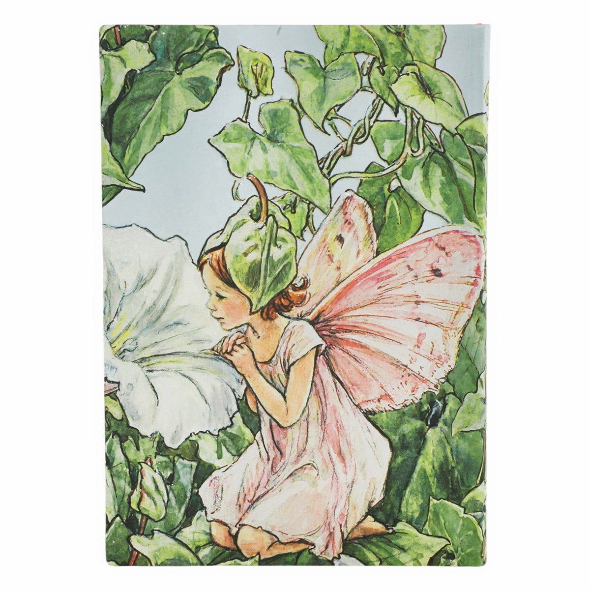Paperblanks Bindweed Fairy Midi - Achterkant op een witte achtergrond