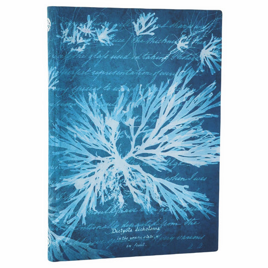 Paperblanks Sea Flowers Midi - Voorkant op een witte achtergrond