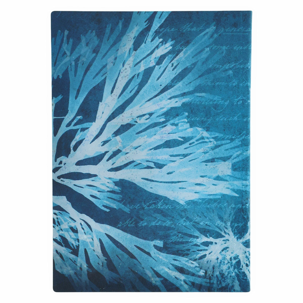 Paperblanks Sea Flowers Midi - Achterkant op een witte achtergrond