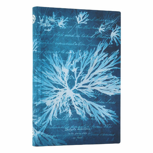 Paperblanks Sea Flowers Mini - Voorkant op een witte achtergrond