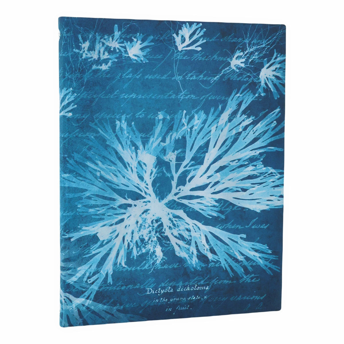 Paperblanks Sea Flowers Ultra - Voorkant op een witte achtergrond