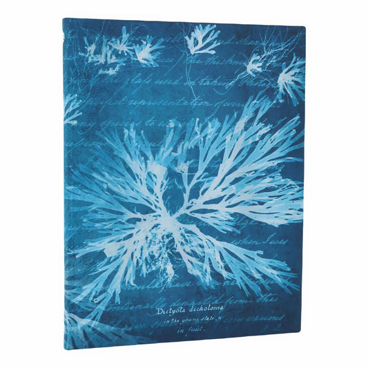 Paperblanks Sea Flowers Ultra - Voorkant op een witte achtergrond