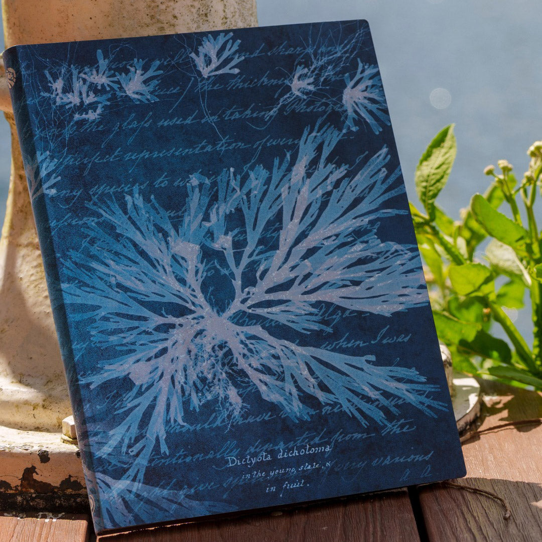 Paperblanks Flexis Sea Flowers - Sfeerfoto