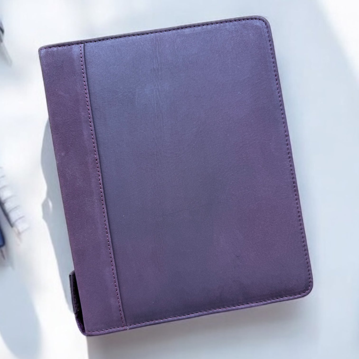 Girologio 24 Zip Pen Case - Sugar Plum