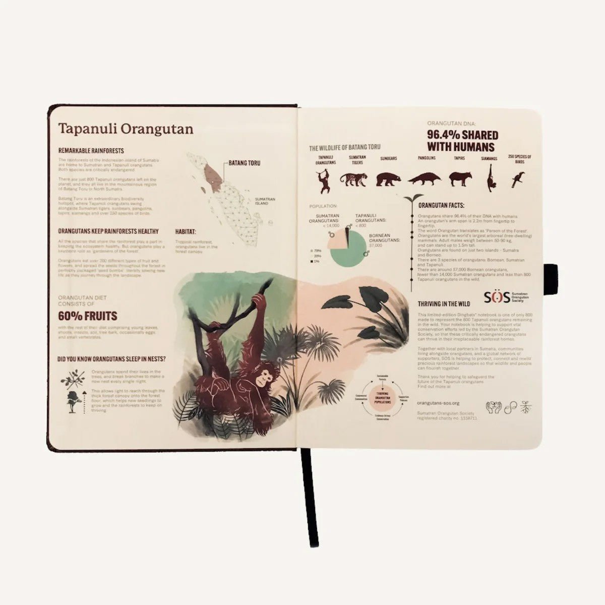 Dingbats* Notitieboek A5+ Wildlife Orangutan - Dotted [Limited Edition] - 24Papershop