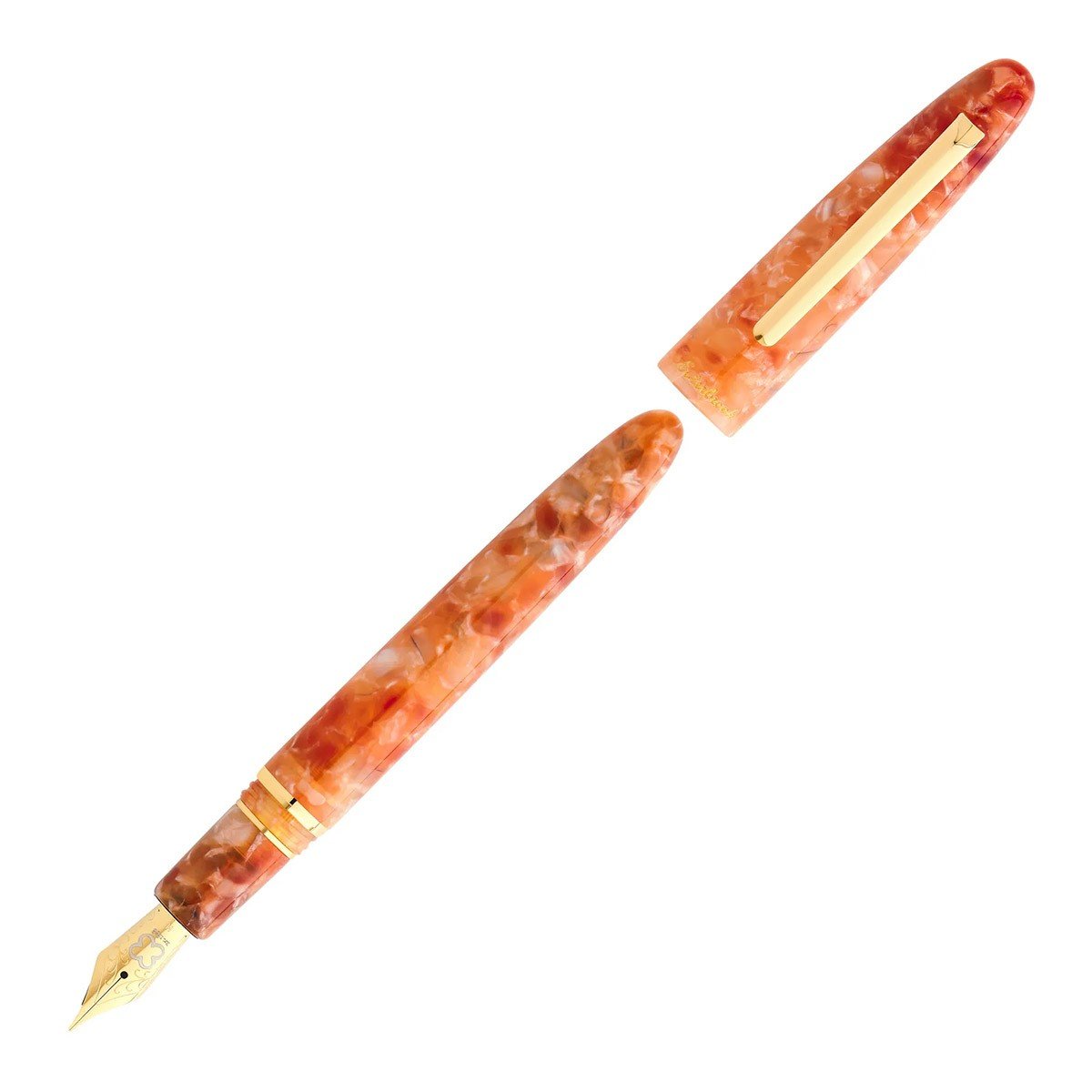 Esterbrook Fountain Pen Estie GT - Petrified Forest [Limited Edition] - 24Papershop