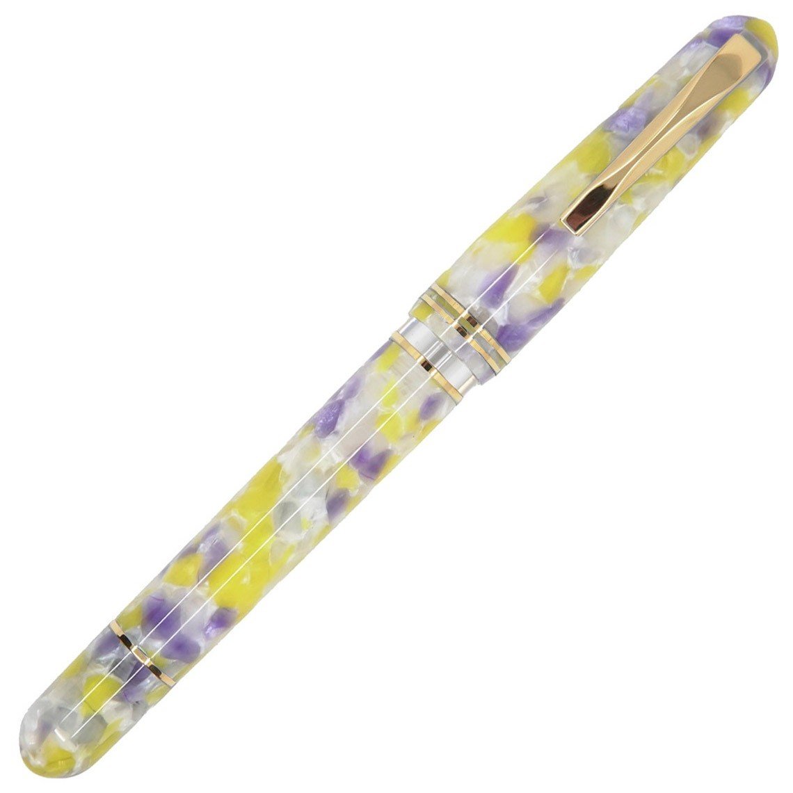 Gioia Metis Fountain Pen GT - Viola Colibri - 24Papershop