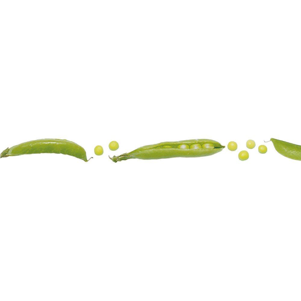 MT Masking Tape - Snap Pea - 7mm x 7m - 24Papershop