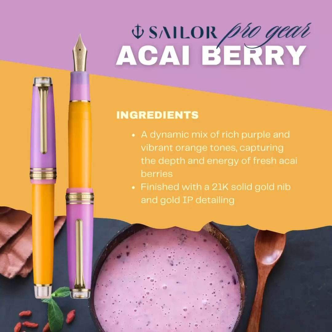 Sailor Fountain Pen Pro Gear Smoothie II Acai Berry - Fine - 24Papershop