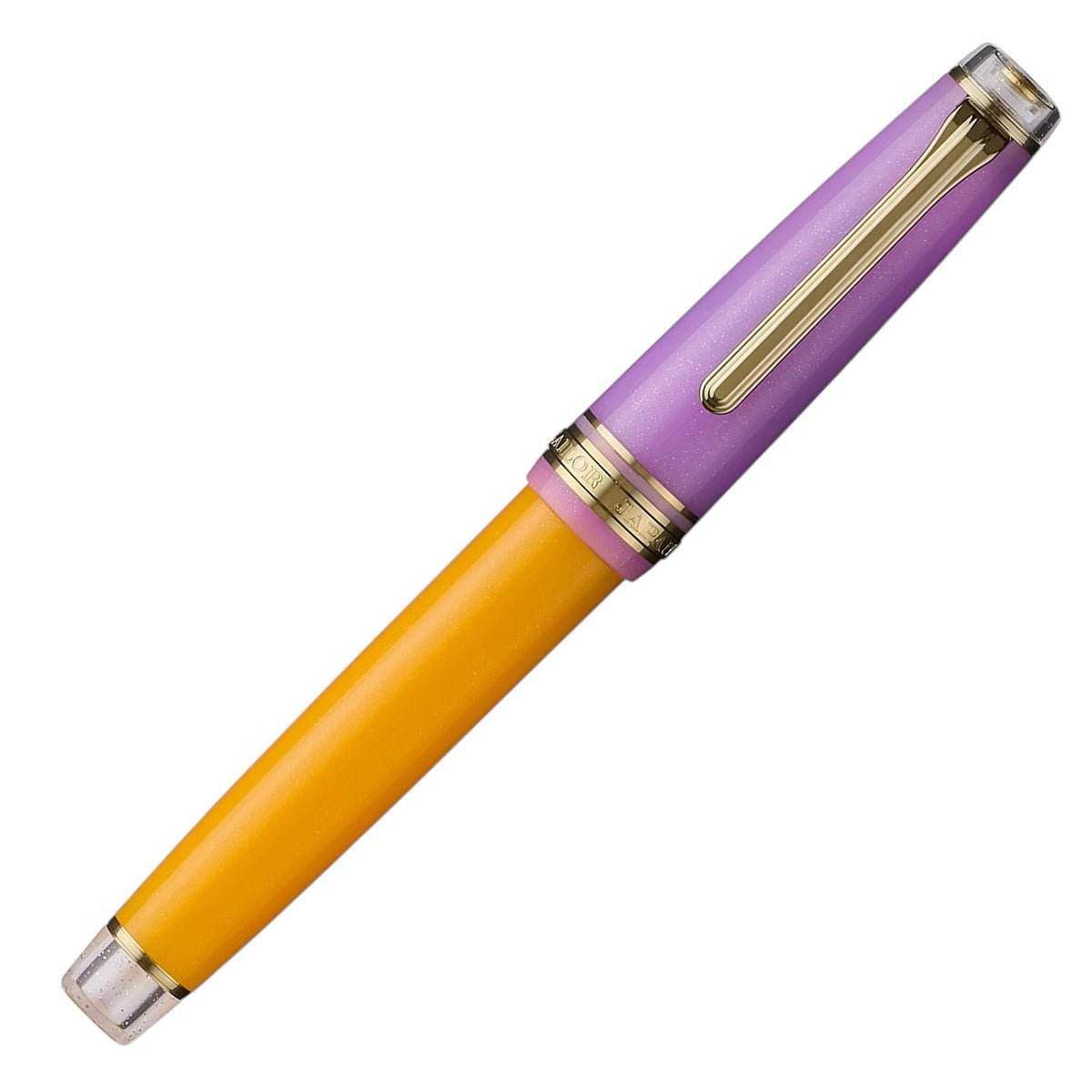 Sailor Fountain Pen Pro Gear Smoothie II Acai Berry - Fine - 24Papershop