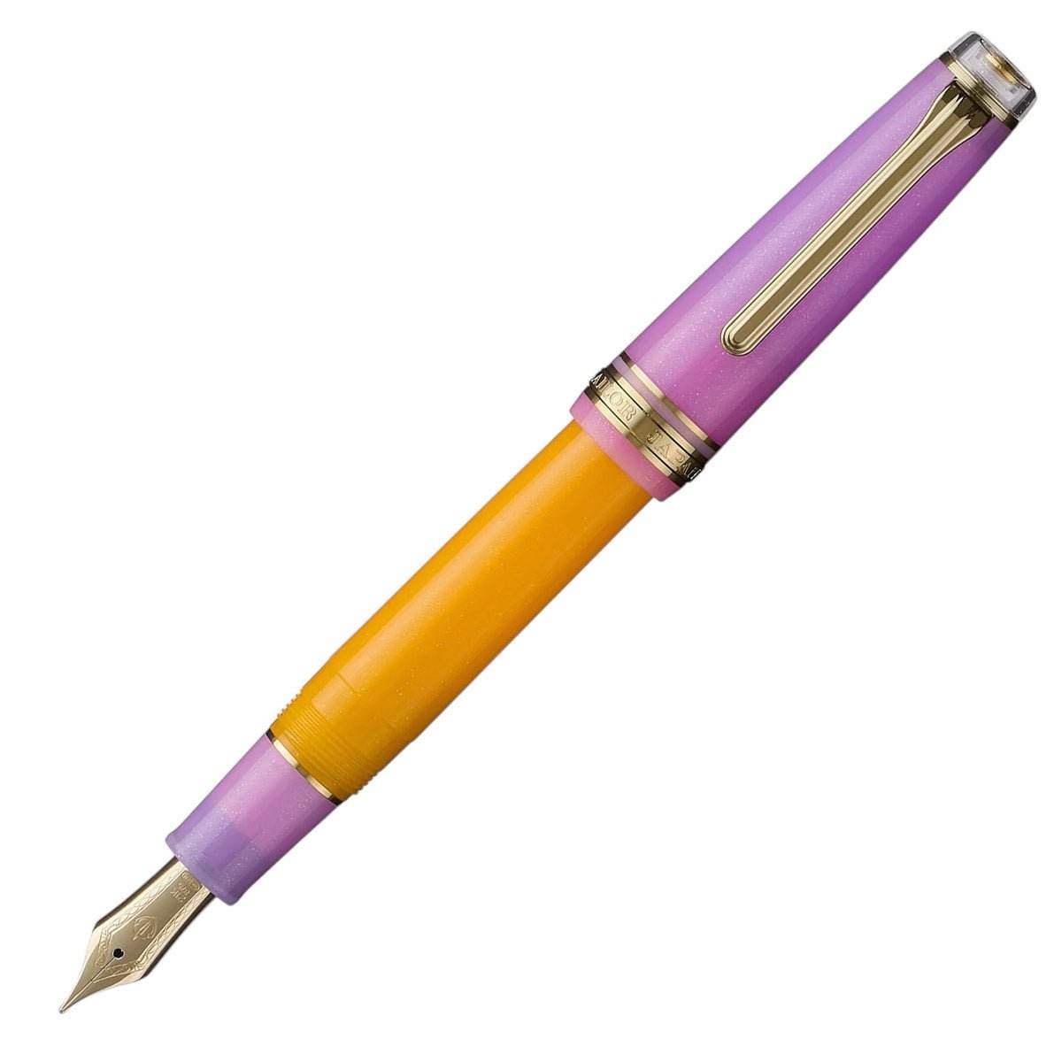 Sailor Fountain Pen Pro Gear Smoothie II Acai Berry - Fine - 24Papershop