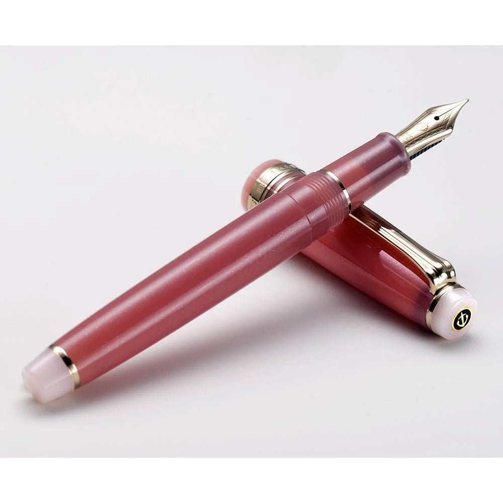 Sailor Pro Gear Slim Solar Term Fountain Pen - Tako Medium Limited Edition - 24Papershop