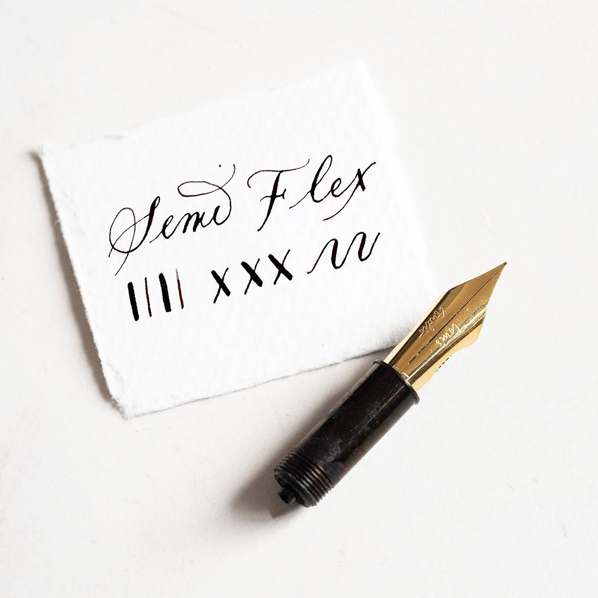 Tom's Studio Nib - Extra Fine Semi Flex [Gold] - 24Papershop