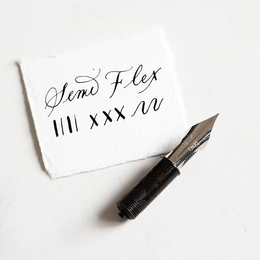 Tom's Studio Nib - Extra Fine Semi Flex [Stainless Steel] - 24Papershop